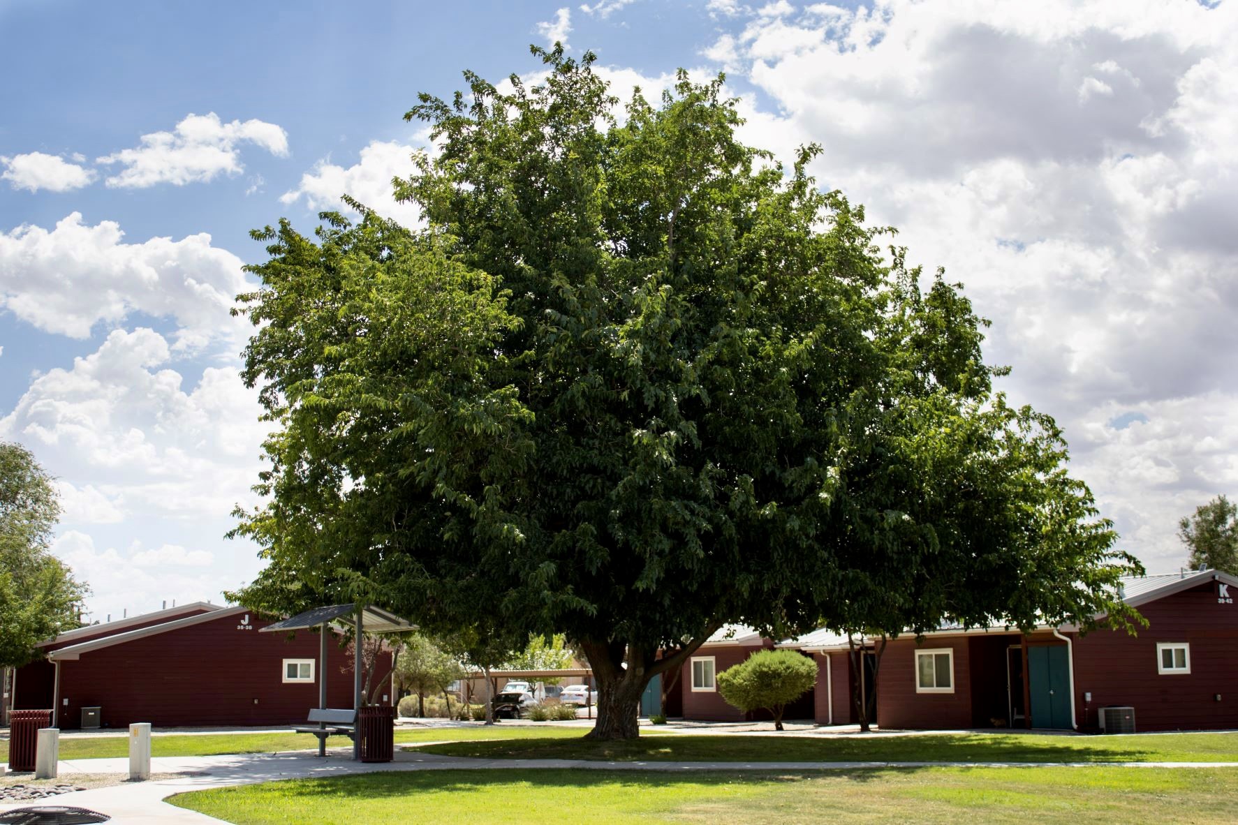 Mountain View Apartments